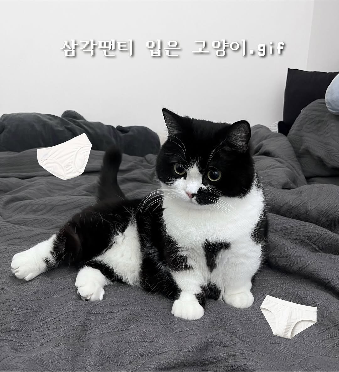 neko.chunbae 게시물 이미지: 후방주의 1탄..🥵🔞