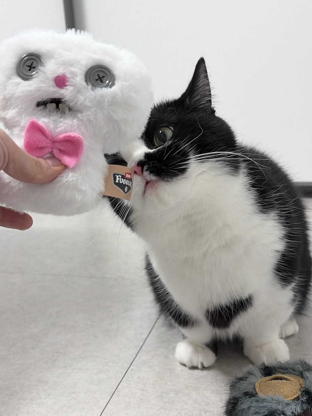 neko.chunbae 게시물 이미지: 동생한테 이빨인형 선물 받았어요 야호