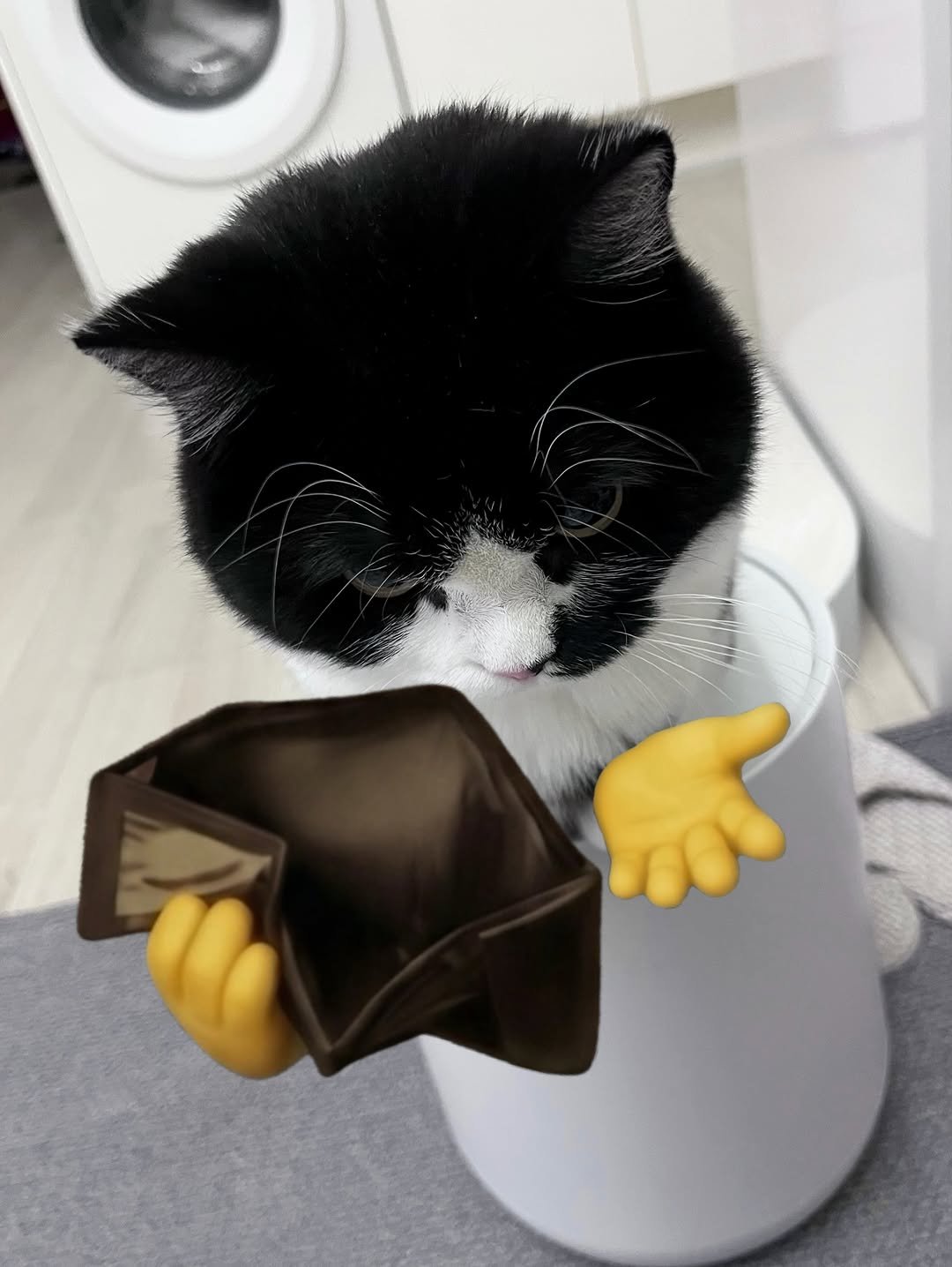 neko.chunbae 게시물 이미지: Hand over the money..💸

돈 내놔야 하는 친구한테 공유하시오.