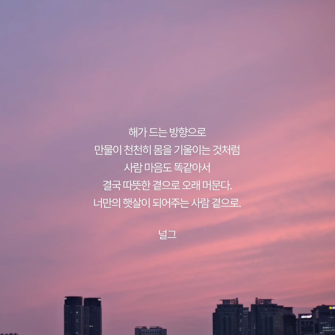 neol_g 게시물 이미지: 마음도 꼭 비슷하더라고. 살다 보면 누구나 송곳 같은 차가운 말 몇 개쯤은 품고...