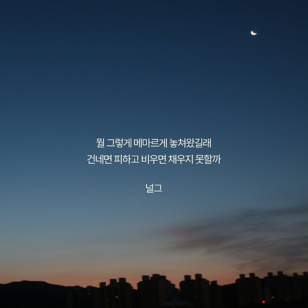 Photo by 널그 정민규 on April 20, 2026. May be an image of pie, outdoors and text that says '뭘 그렇게 메마르게 놓쳐왔길래 건네면 피하고 비우면 채우지 못할까 널그'.
