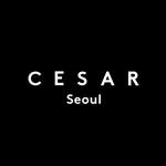 cesar.seoul 프로필 사진