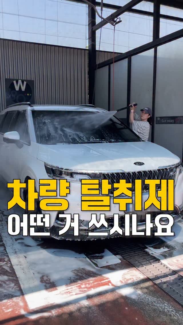 neollee_happywithit 게시물 이미지: 우리 집 차 안 노르웨이숲으로 바꿔보세요🌲
차량 방향제 어떤 걸 쓰시나요?
집만큼...
