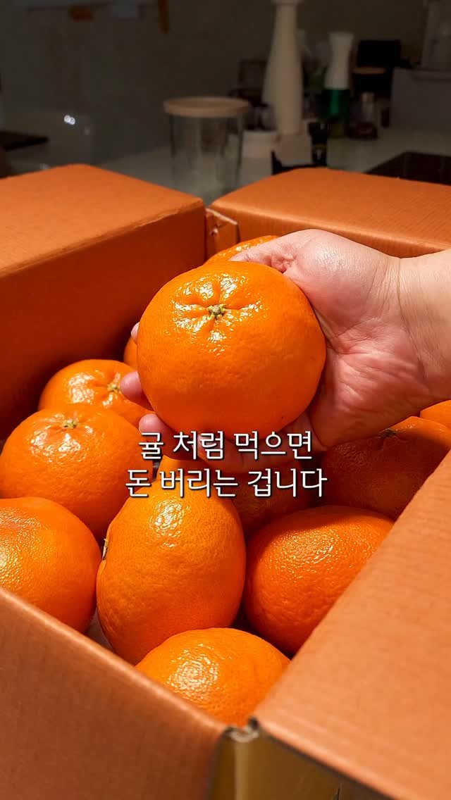 neollee_happywithit 게시물 이미지: #제주감귤 #광고 🍊 레드향, 그냥 큰 귤 아닙니다~
겉보기엔
“어? 귤 큰...