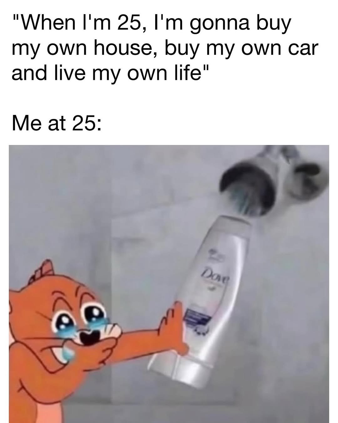 Photo by memes and movies account on August 28, 2025. May be a meme of text that says '"When מ'ן 25, I'm gonna buy my own house, buy my own car and live my own life" Me at 25: Day Dave'.