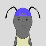 koreant_official 프로필 사진