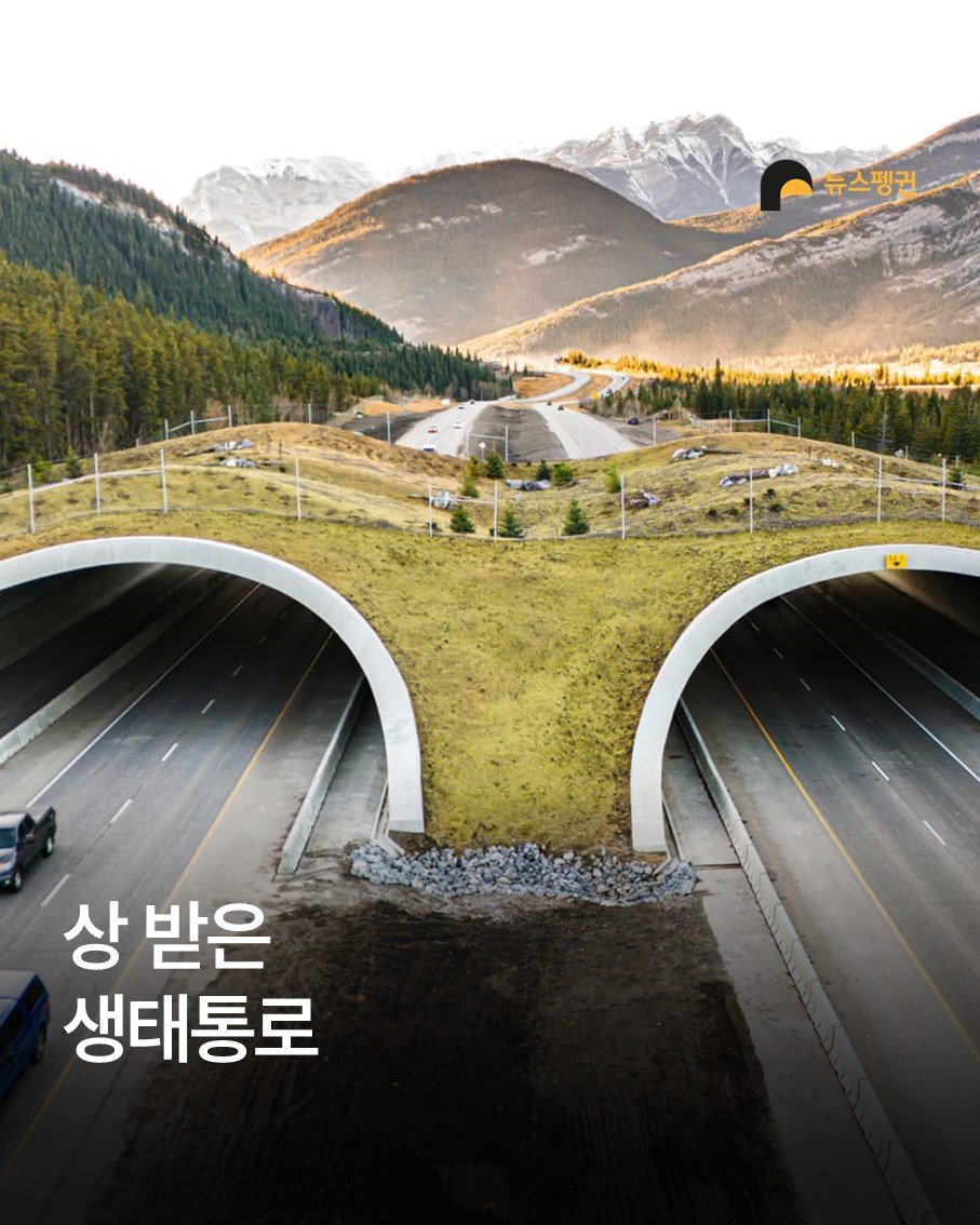 Photo by 뉴스펭귄 | Newspenguin on April 13, 2025.