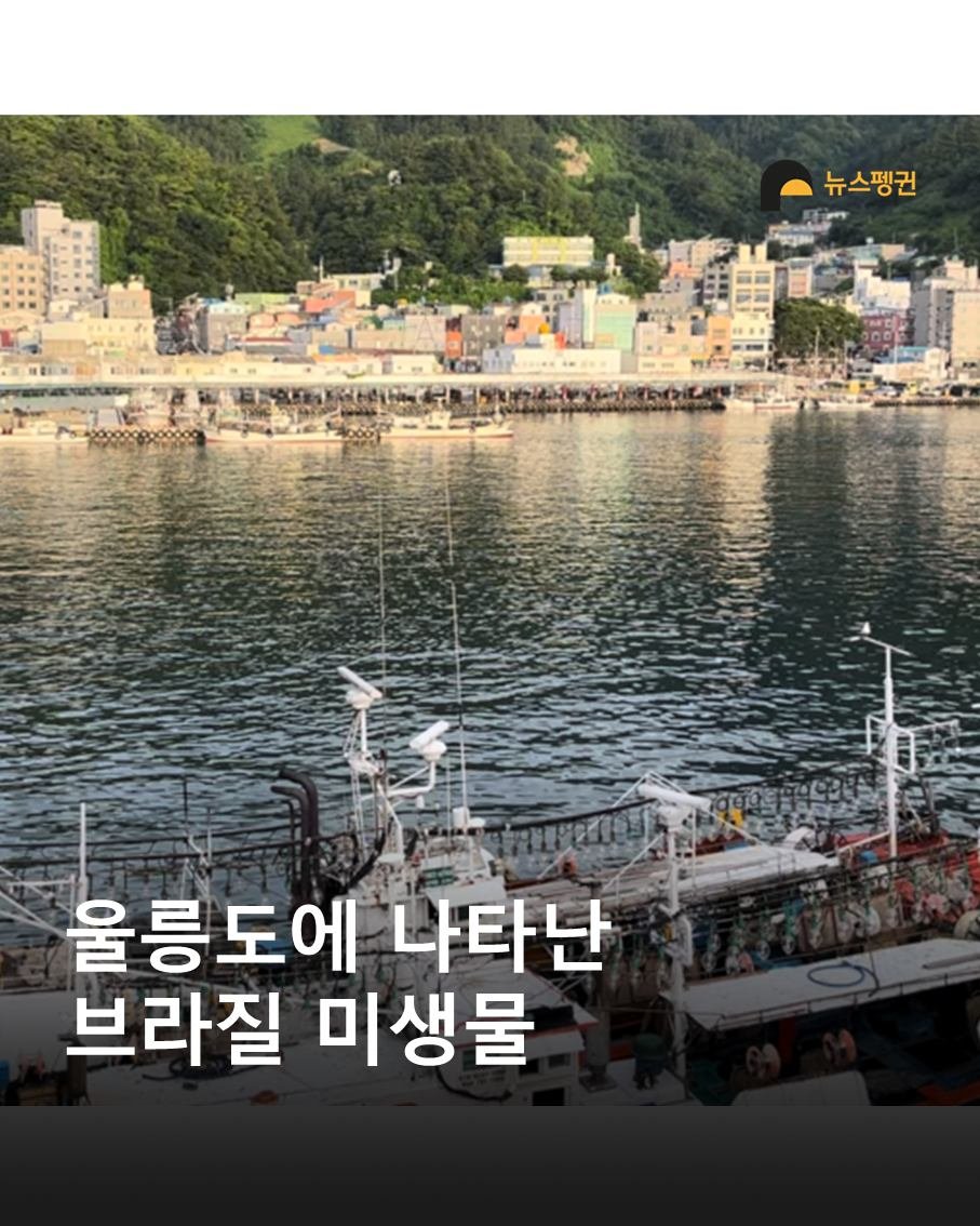 Photo by 뉴스펭귄 | Newspenguin on September 29, 2025. May be an image of ship and text that says '뉴스펭귄 울릉도에 에 나타난 브라질 미생물'.