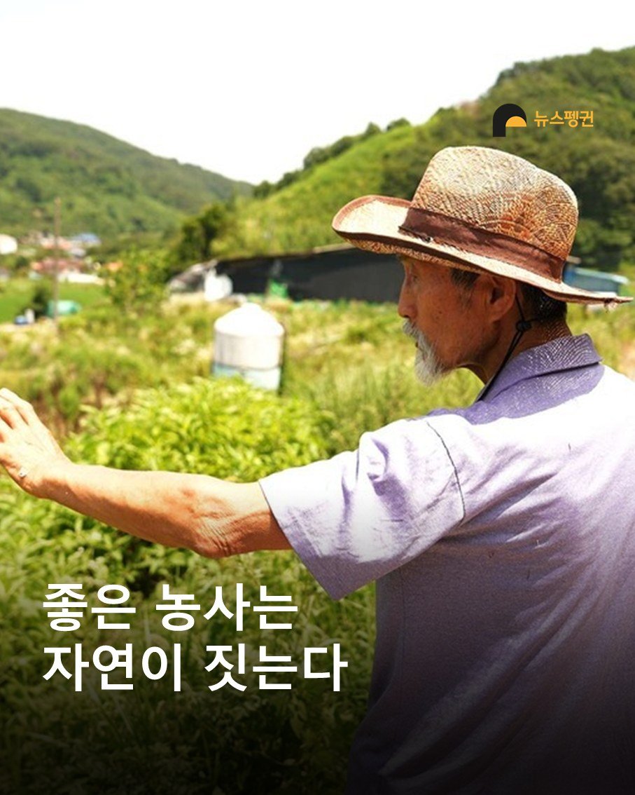 Photo by 뉴스펭귄 | Newspenguin on September 30, 2025. May be an image of 1 person, outdoors and text that says '뉴스펭권 JNKANN 좋은 농사는 자연이 짓는다'.