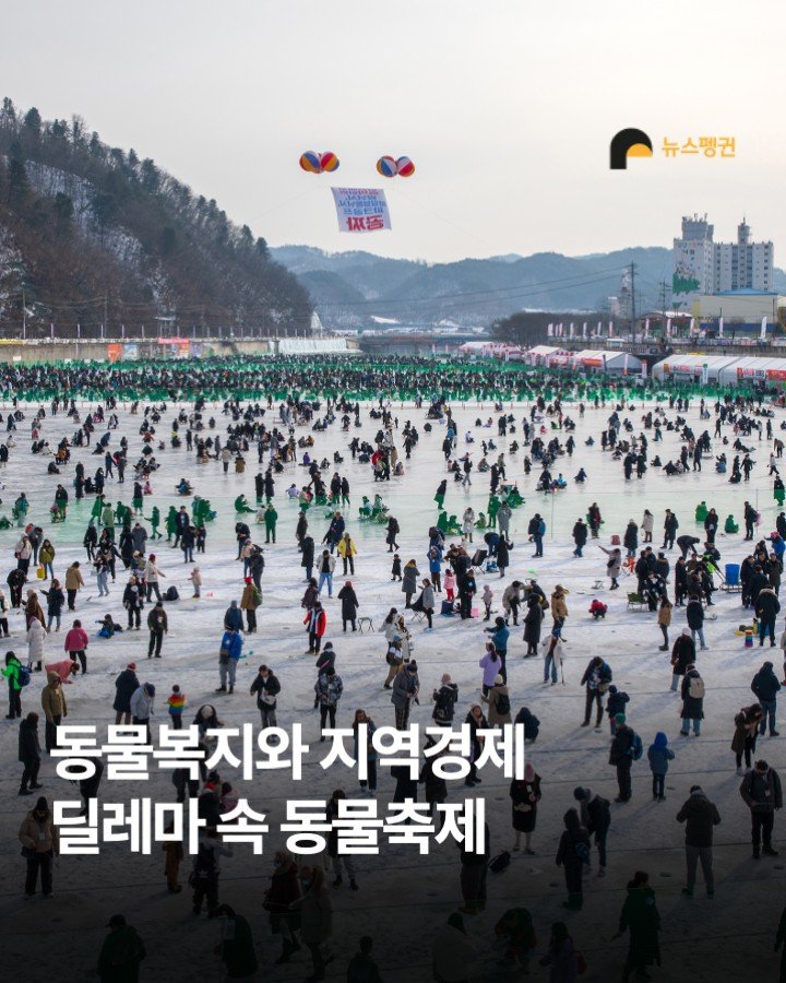 Photo by 뉴스펭귄 | Newspenguin on December 28, 2025. May be an image of Gyeongbokgung Palace and text that says '포ㅉ돌 뉴스팽권 동물복지와 지역경제 딜레마 속 동물축제'.