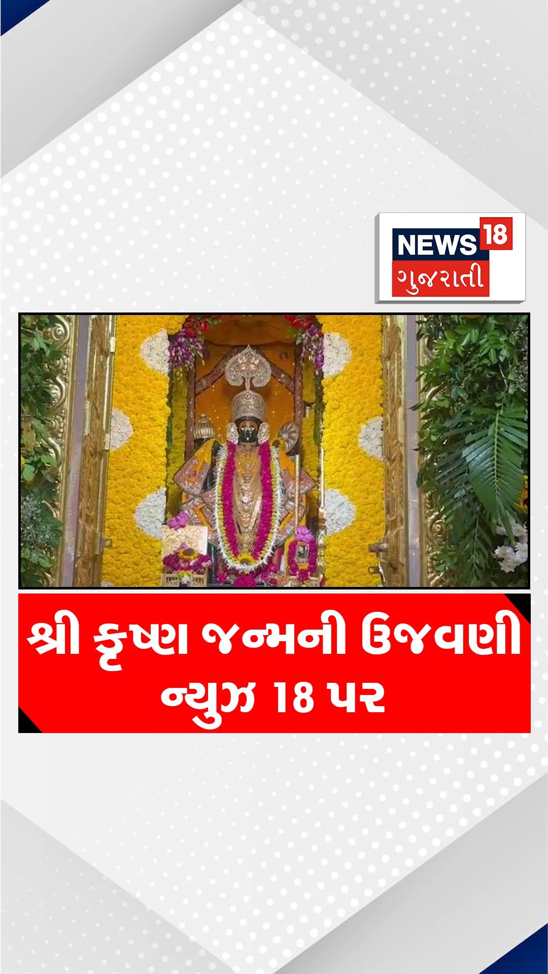news18gujarati 게시물 이미지: શ્રી કૃષ્ણ જન્મની ઉજવણી ન્યુઝ 18...