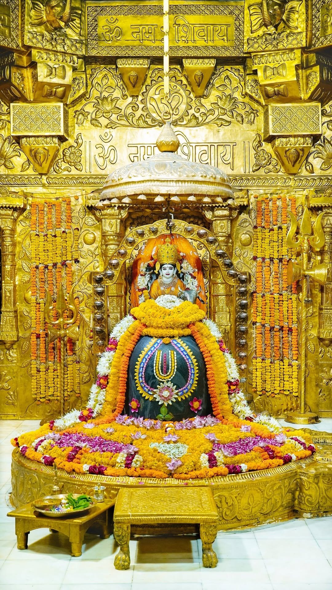 news18gujarati 게시물 이미지: પ્રથમ જ્યોતિર્લિંગ સોમનાથ દાદાના ઘરે બેઠા કરો...