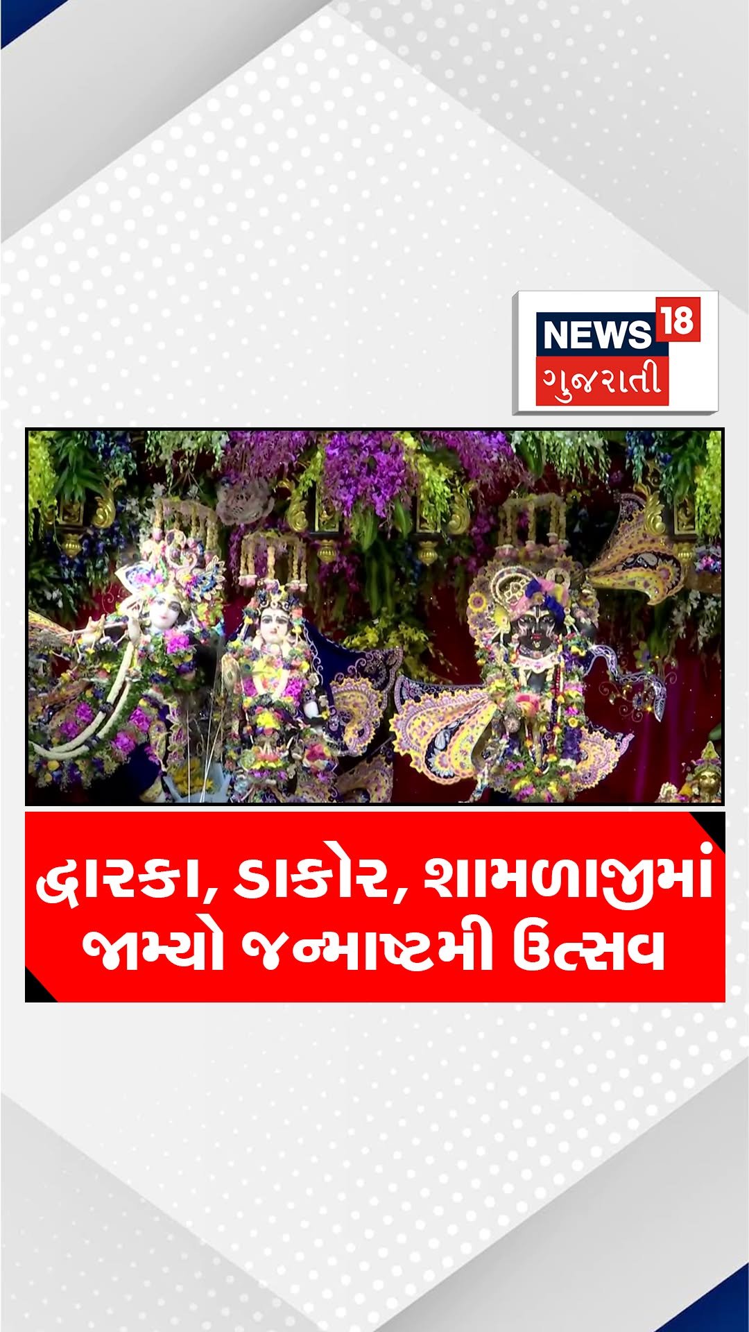 news18gujarati 게시물 이미지: દ્વારકા, ડાકોર, શામળાજીમાં જામ્યો જન્માષ્ટમી...