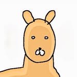 bam__vi 프로필 사진