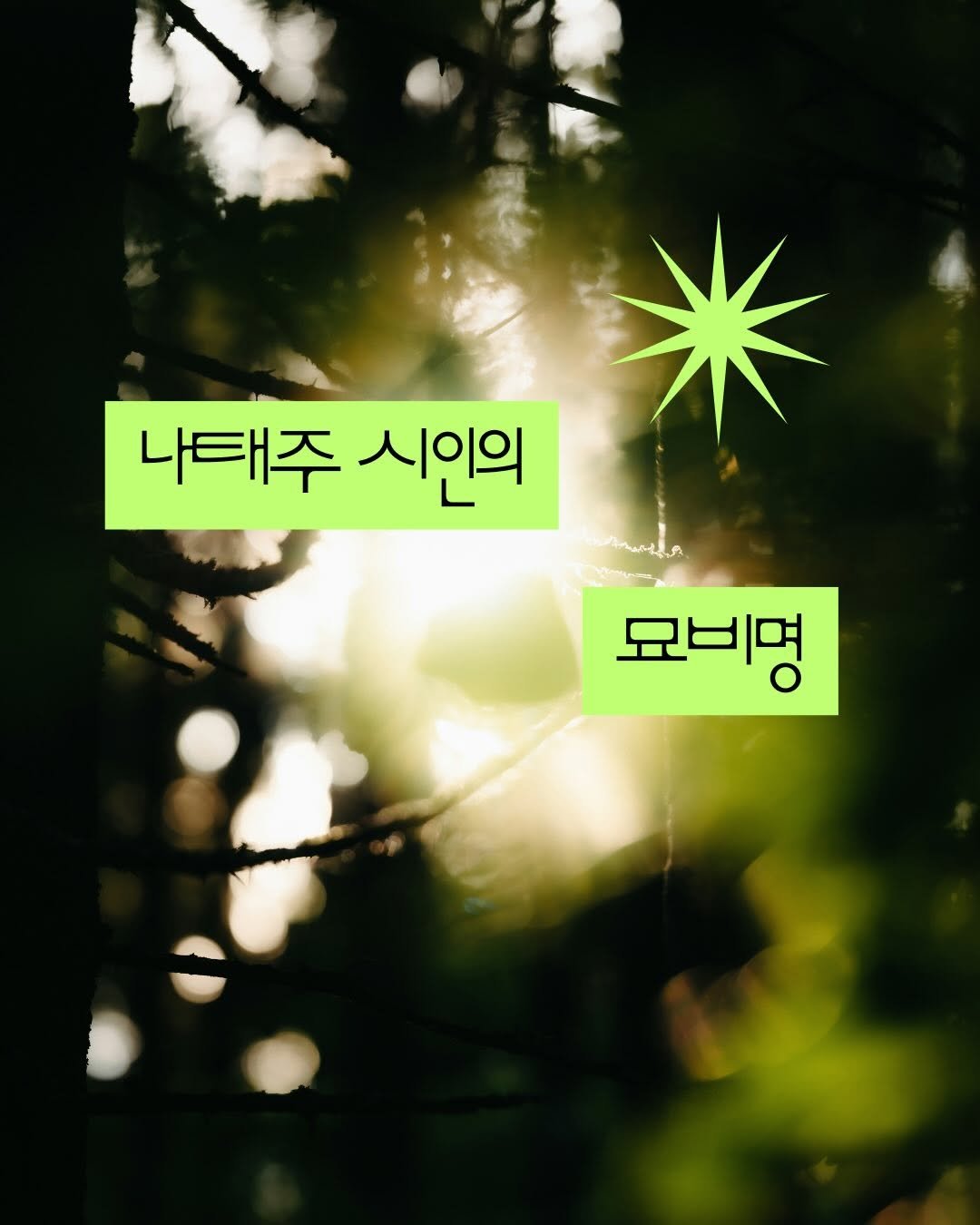 nexus_and 게시물 이미지: 나태주 시인의 일생이 담긴 스테디셀러🌿
📕<가지 말라는데 가고 싶은 길이...