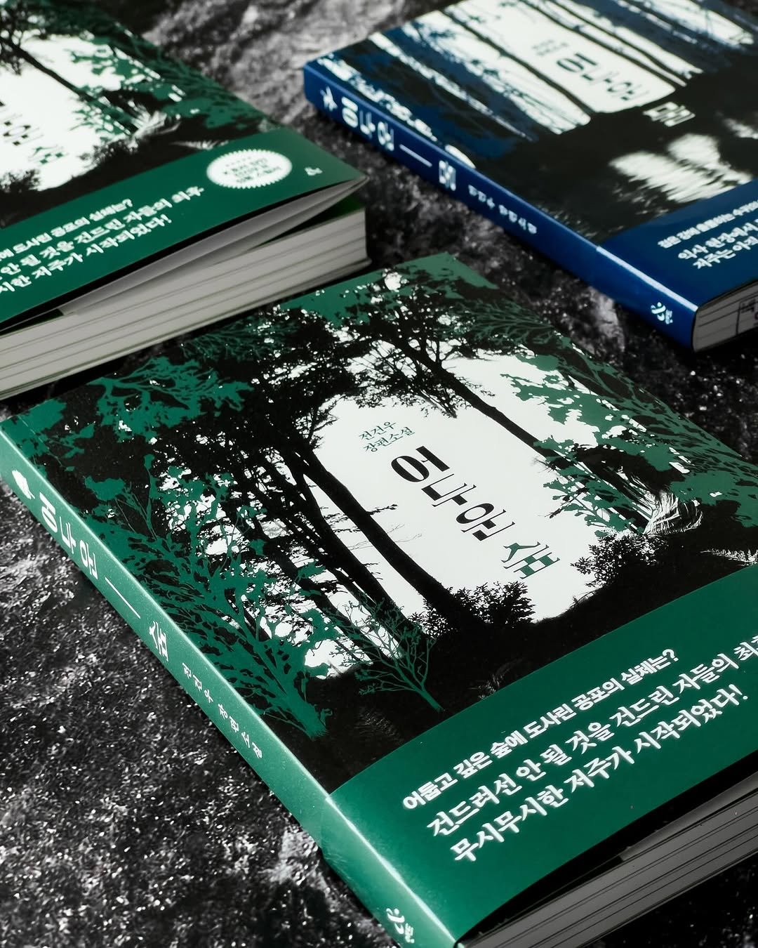 Photo by NEXUS 문학 브랜드 &(앤드) on November 20, 2025. May be an image of poster, book, magazine and text.