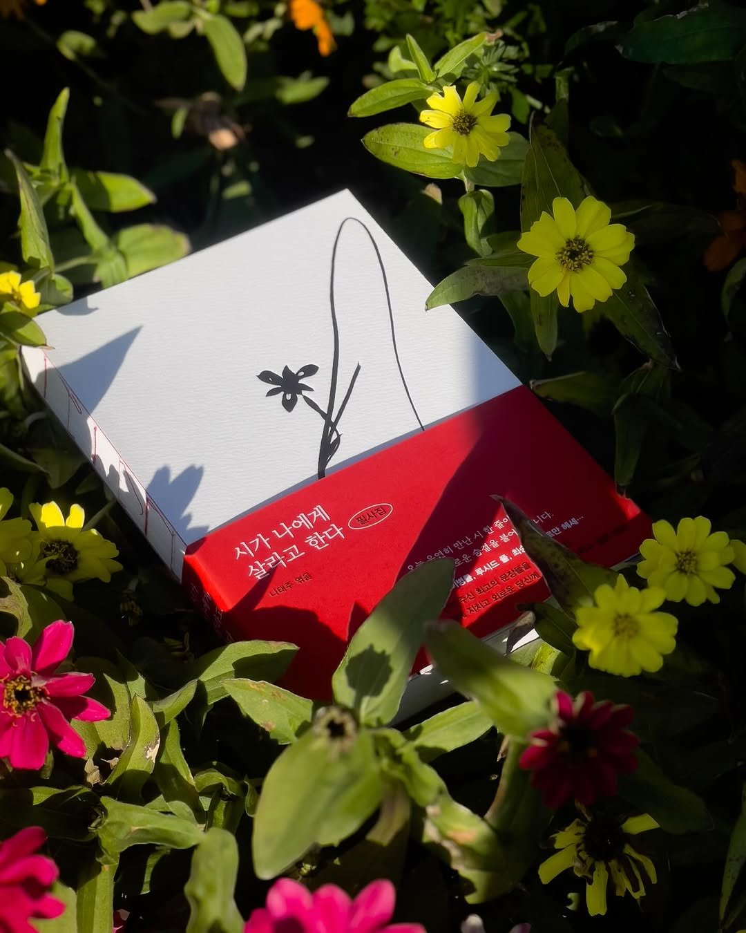 Photo shared by 넥서스북 Next to us, NEXUS on November 13, 2025 tagging @nexus_and. May be an image of matchbook, playing cards, cigarette case, book, cigarette and text.