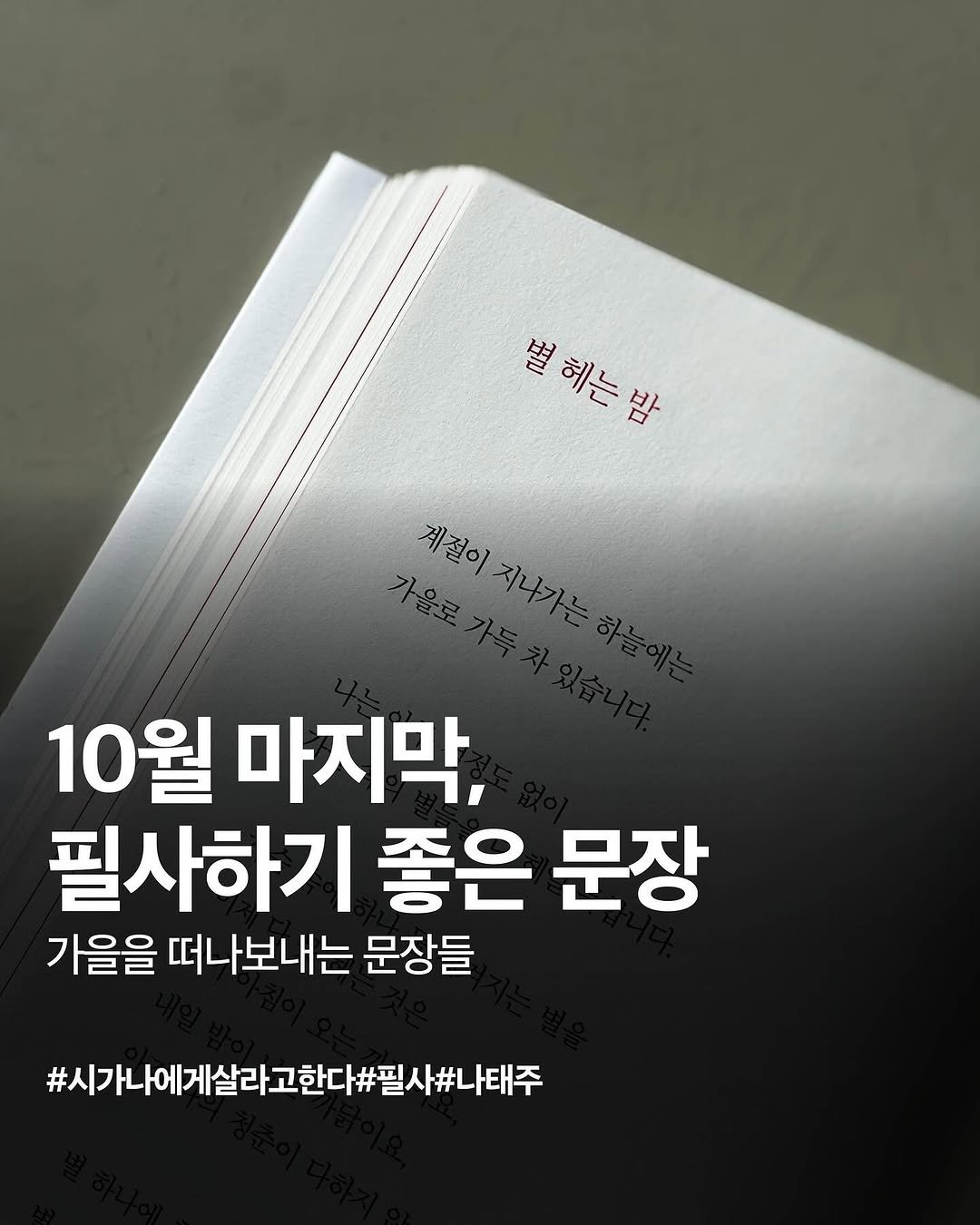Photo by NEXUS 문학 브랜드 &(앤드) on October 29, 2025. May be an image of book and text that says '별헤는밤 별 헤는 밤 계절이 10월 마지막, 필사하기 좋은 문장 가을을 떠나보내는 문장들 #시가나에게살라고한다#필시#나태주'.
