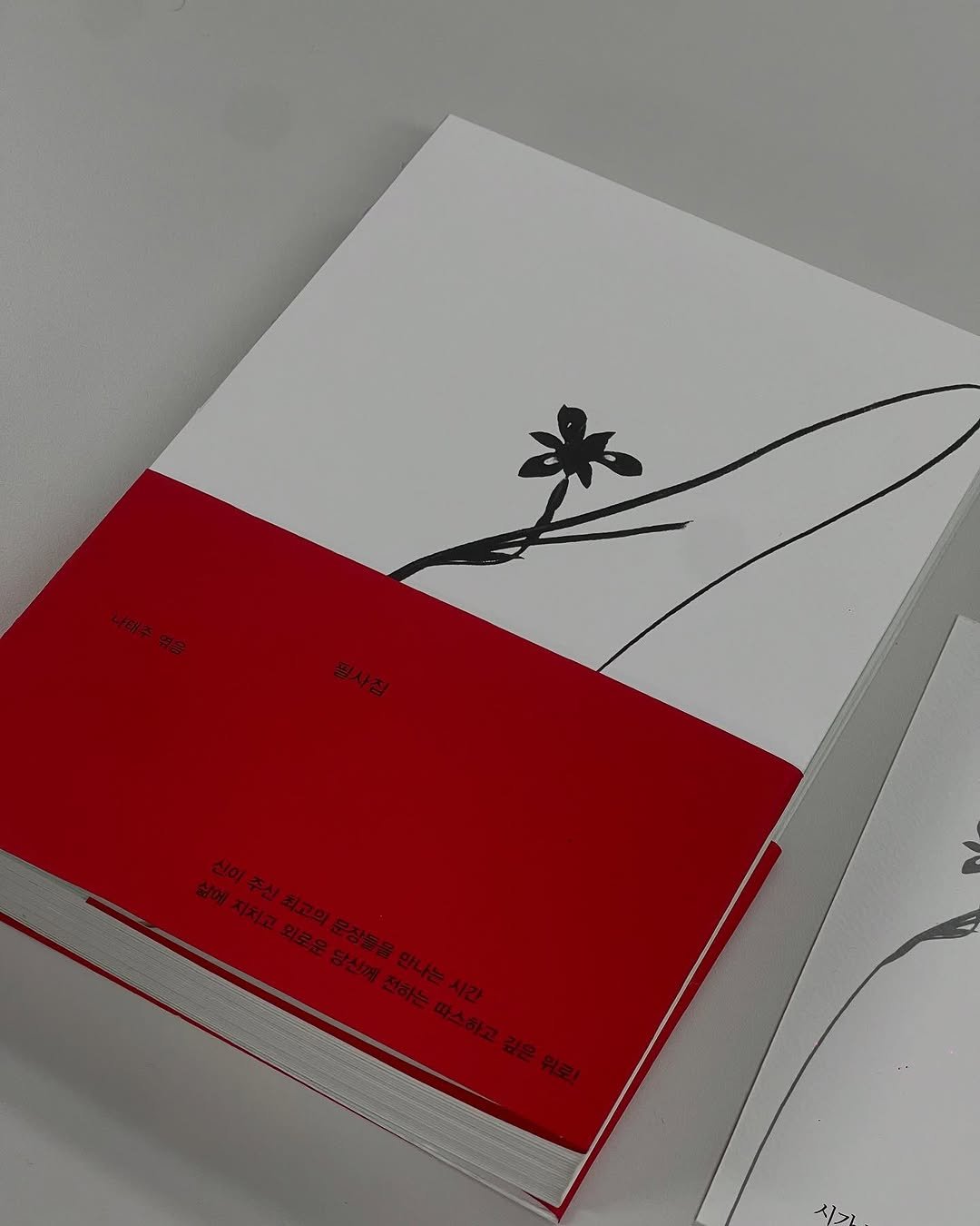 Photo shared by 넥서스북 Next to us, NEXUS on November 03, 2025 tagging @nexus_and. May be an illustration of book and text.