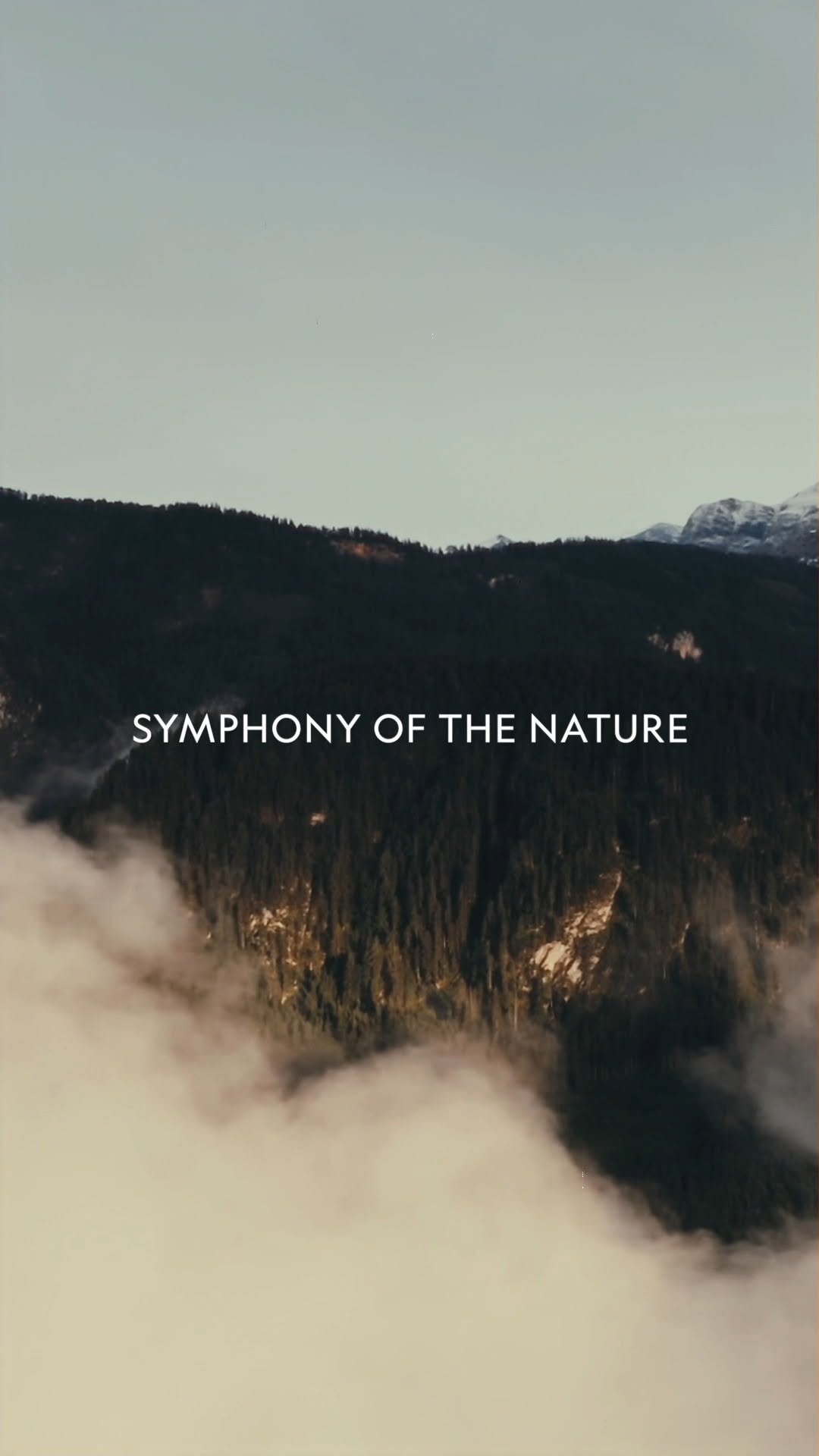 ng_apparel 게시물 이미지: 𝟮𝟱𝗙𝗪 𝗔𝗧𝗟𝗔𝗦 & 𝗡𝗥𝗡 𝗖𝗢𝗟𝗟𝗘𝗖𝗧𝗜𝗢𝗡
WHERE NATURE MEETS...