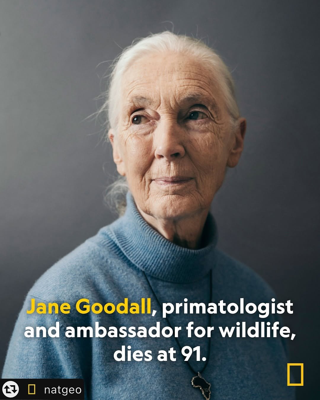 Photo shared by 내셔널지오그래픽 어패럴 on October 02, 2025 tagging @natgeo. May be an image of 1 person, slow loris and text that says 'Jane Goodall, primatologist and ambassador for wildlife, dies at 91. L7 natgeo'.