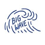 bigwave_collective 프로필 사진