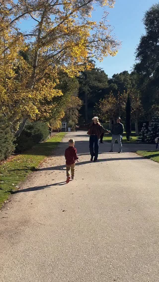 nicholeciotti 게시물 이미지: A little slice of holiday magic at...