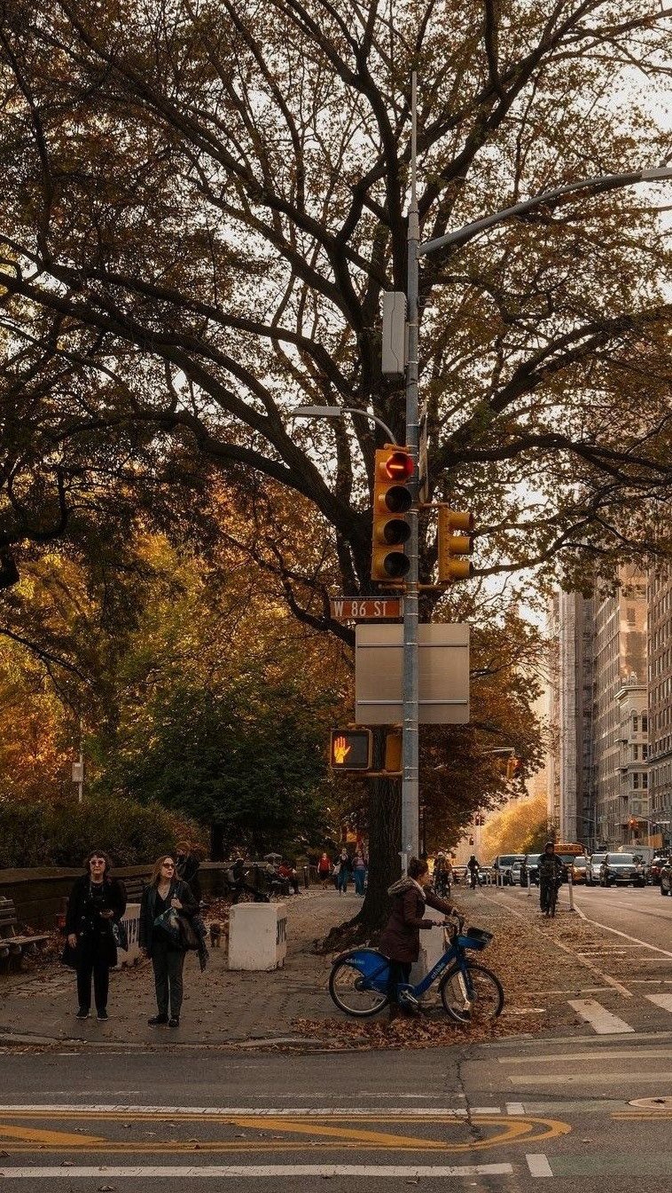 nicobohigues 게시물 이미지: Así estoy vistiendo este...