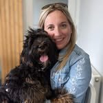 willows_australian_labradoodle 프로필 사진