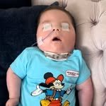 ylnoguz 프로필 사진