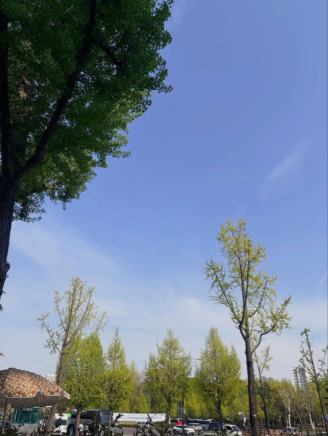 Photo by 리리 🩷 on April 16, 2026. May be an image of text.