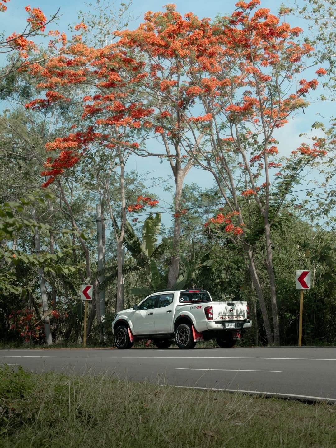nissan 게시물 이미지: Road trip sponsored by summer vibes. 🍃

📷 :...