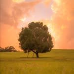 nite_4all 인스타그램 프로필 사진