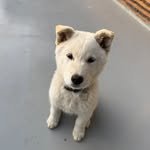 tiny.pretty.j 프로필 사진
