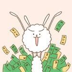 alpaca_is_free 프로필 사진