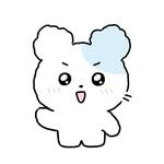 sena.is.bear 프로필 사진