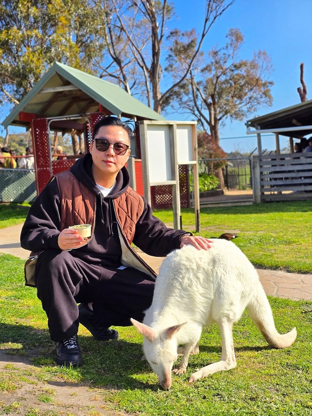 Photo by 박성형 on October 14, 2025. May be an image of wallaby, kangaroo, sheep, lamb and text.