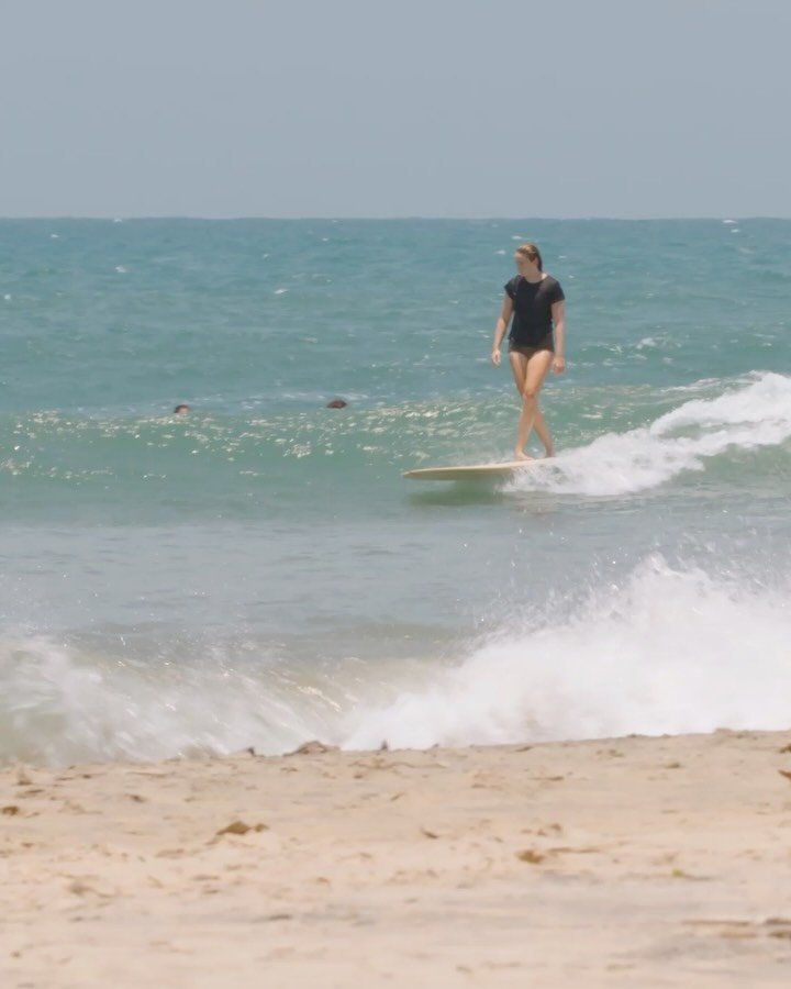 nobody_surf 게시물 이미지: 🎫 ANIMAL GARDEN : Now Live on...