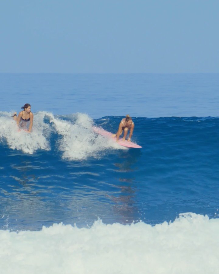 nobody_surf 게시물 이미지: 📼 JUJU'S HAWAII DIARY
🔗 Watch 5-min full edit...