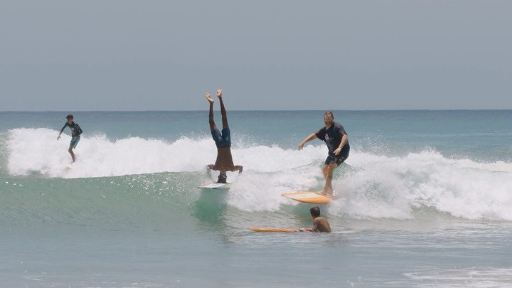 nobody_surf 게시물 이미지: 🎫 ANIMAL GARDEN : Now Live on...