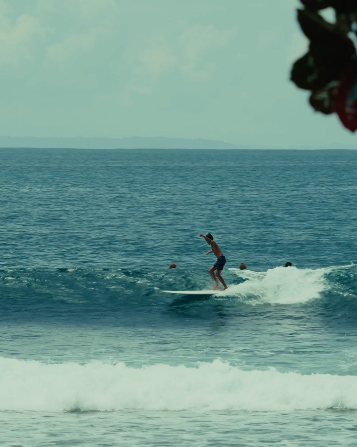 nobody_surf 게시물 이미지: 📼 Warung Reef
🔗 Watch 1-min full edit via the...