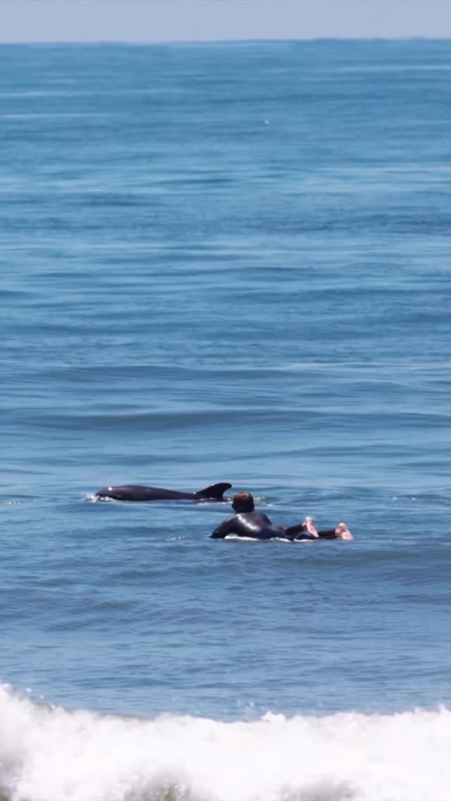 nobody_surf 게시물 이미지: 🎟️ Corey Colapinto surfing an Epoxy 7'8 Thin...