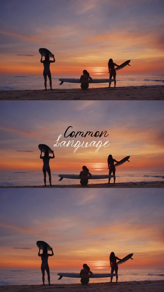 nobody_surf 게시물 이미지: Seea and NobodySurf present Common Language, a...