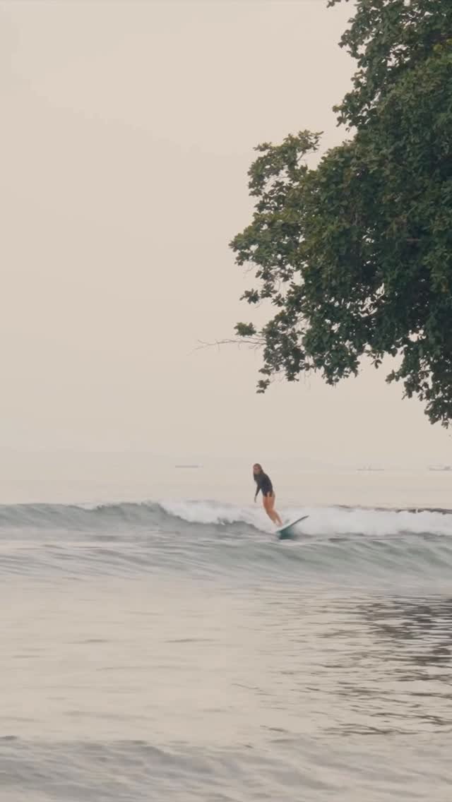 nobody_surf 게시물 이미지: 📼 Tread Softly || Tully White
🔗 Watch 10-min...