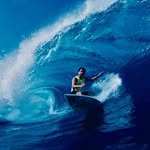 flipperhawaii 프로필 사진