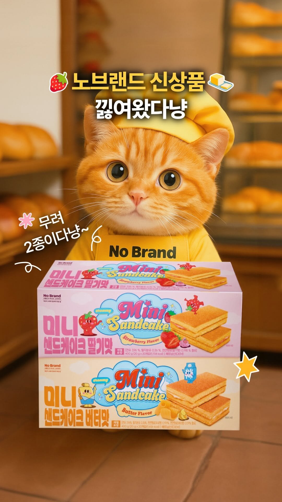 nobrandkorea.official 게시물 이미지: 반갑다냥! (=^・ω・^)
이번엔 흰둥이 말고 내가 왔다냥~
⠀
오늘 업무는...