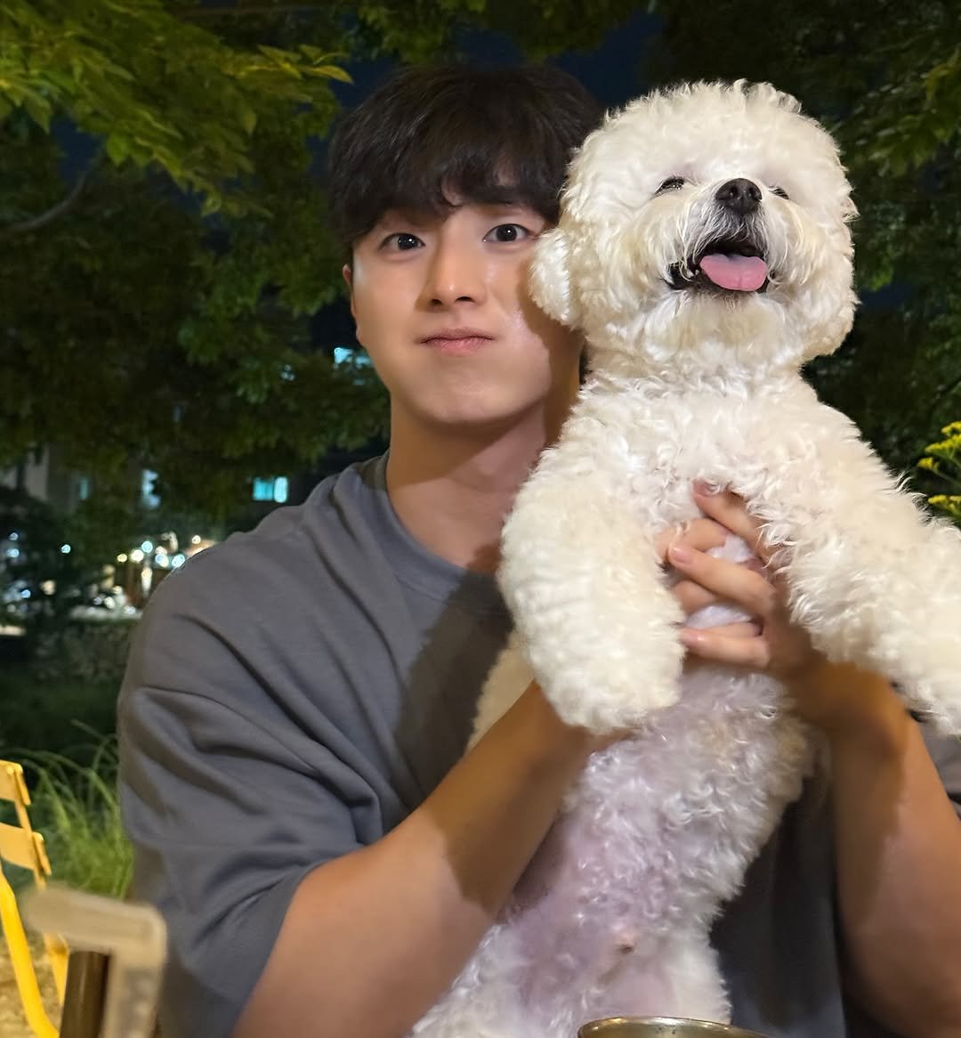 Photo by 노 지 수 on August 05, 2025. May be an image of 1 person, Maltese, Pekinese, Bedlington terrier and text.