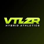teamvtlzr 프로필 사진