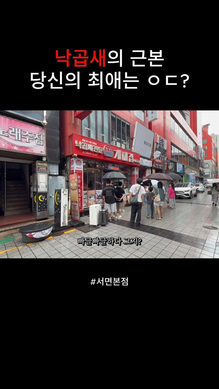 nolbu_busan 게시물 이미지: 50년 부산 낙곱새의 쌉근본
#개미집 #개미집서면본점 #부산맛집 #서면맛집