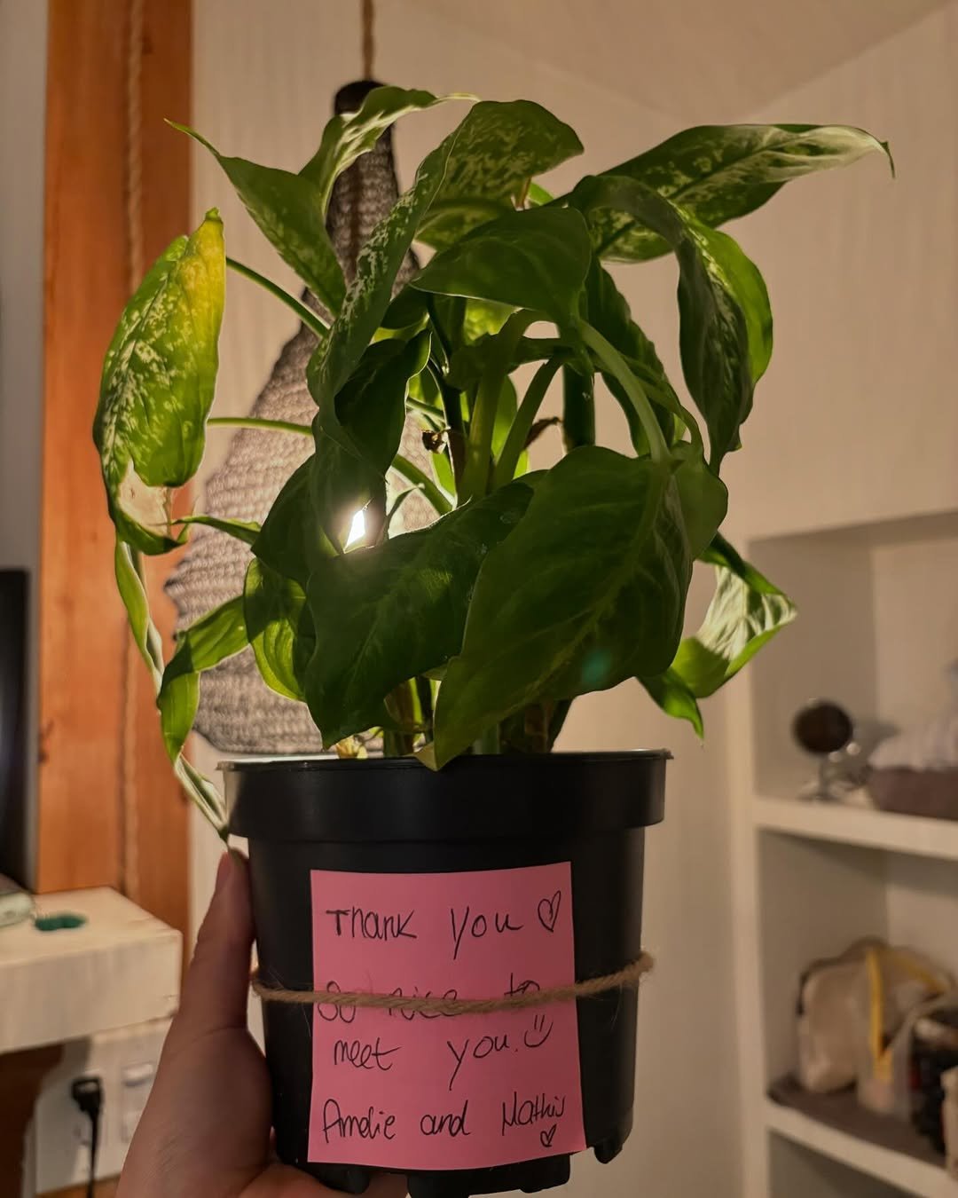 Photo by 워홀만 4번째 윌리ㅣ캐나다 워홀러🇨🇦 on May 23, 2025.